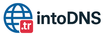 intoDNS Logo